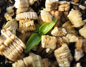 Вермикулит 2 (100 л)